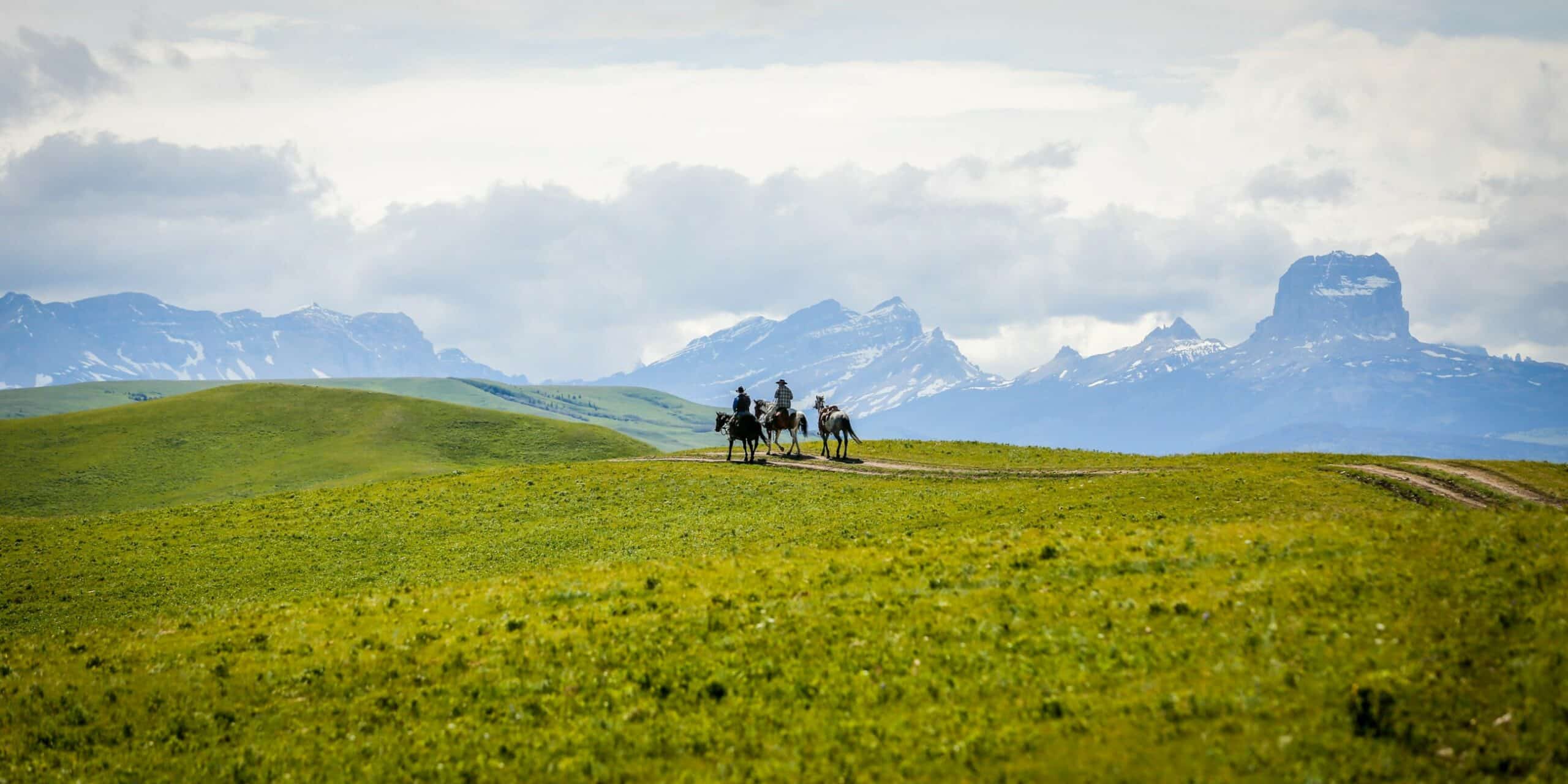 Three people ride horses across a green grassy hill on recreational land, with distant snow-capped mountains and a cloudy sky providing a peaceful, expansive backdrop.