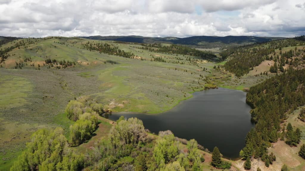 Expansive Montana Ranch
