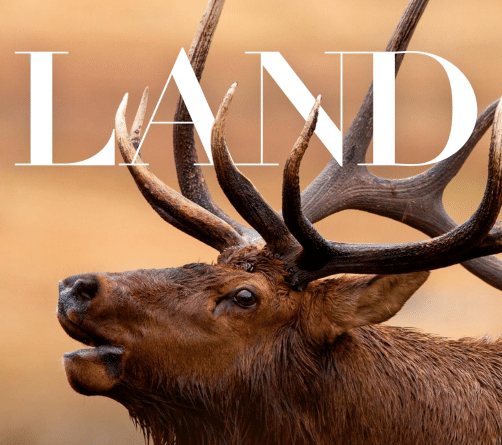 A close-up of a brown elk with large antlers, set against a blurred tan background, highlights the appeal of recreational land. The word LAND in large white letters overlays the top of the image.