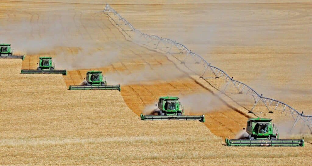 Six green combine harvesters work side by side in a golden wheat field on prime recreational land, creating parallel lines of harvested crops as dust rises behind them under a large metal irrigation system.