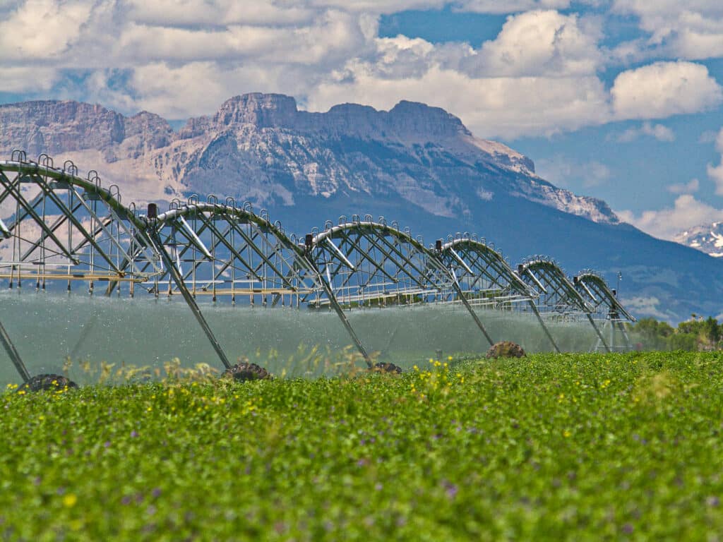 A large irrigation system waters a green crop field on a cattle ranch, with tall mountains and a partly cloudy sky in the background.
