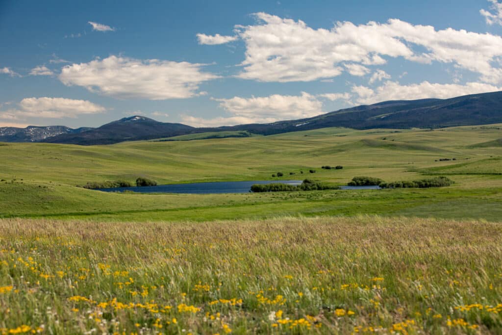 A wide open grassy field with scattered yellow wildflowers, a small pond, rolling green hills, and distant mountains under a blue sky with white clouds—perfect recreational land or ranch for sale.