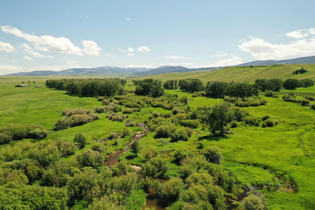 A lush green landscape with a small stream winding through bushes and trees, surrounded by grassy fields and distant hills under a blue sky—perfect recreational land or potential cattle ranch.