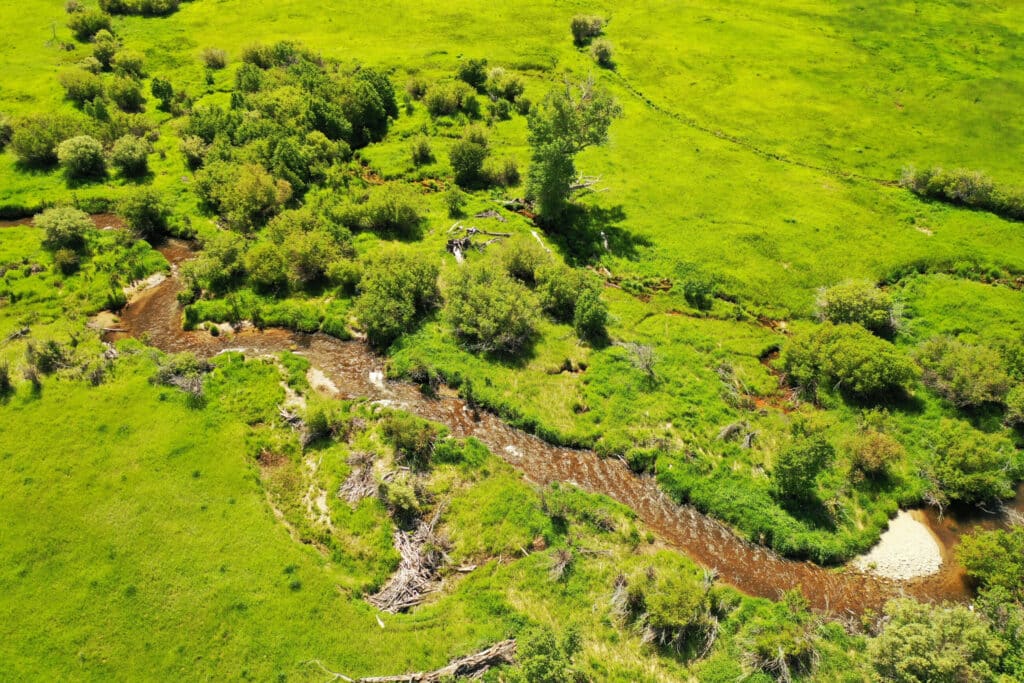 Aerial view of a winding stream flowing through a lush green meadow with dense patches of trees and shrubs along the water’s edge—ideal recreational land bathed in sunlight, perfect for your dream hunting property or land for sale opportunity.