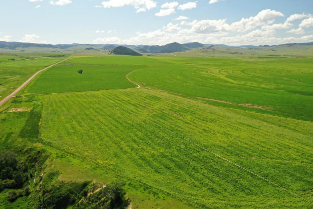 Aerial view of expansive green fields and farmland with distant hills under a blue sky. Dirt roads and crop patterns cross the landscape, showcasing an ideal ranch for sale or potential hunting property.