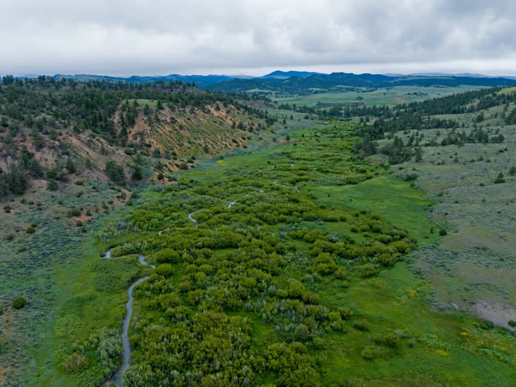 A winding creek flows through a lush green valley, ideal as hunting property or cattle ranch, surrounded by rolling hills and scattered trees under a cloudy sky, with distant mountains visible on the horizon.