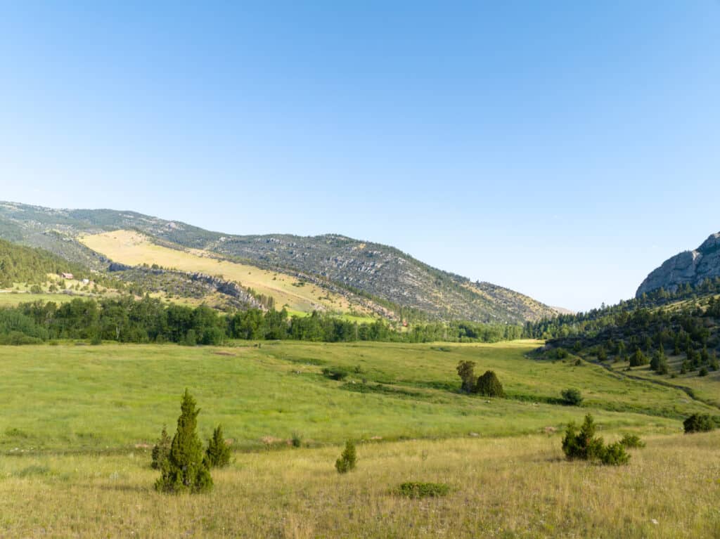A wide grassy field with scattered small trees under a clear blue sky, surrounded by gently rolling hills and rocky outcrops—ideal recreational land or hunting property.