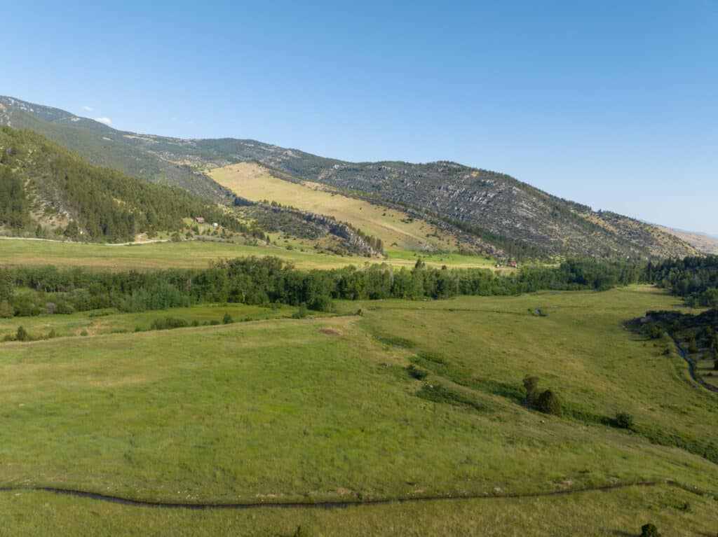 A wide, open grassy field stretches toward forested hills and mountains under a clear blue sky on a sunny day—ideal land for sale, perfect for a cattle ranch.