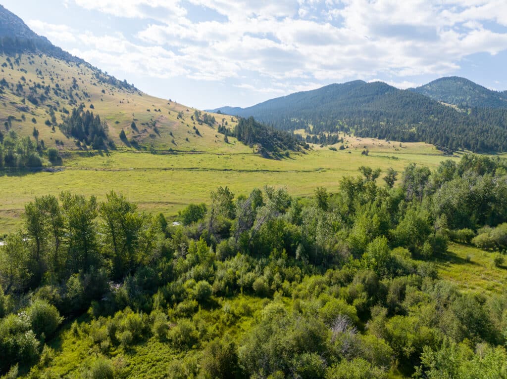 A scenic landscape of rolling hills covered with grass and scattered trees, featuring dense green foliage in the foreground and a partly cloudy blue sky above—ideal recreational land or hunting property.