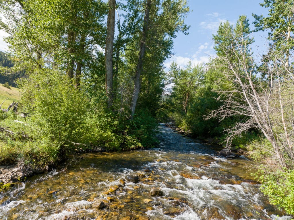 A clear, shallow stream flows through a forest with lush green trees on both sides under a blue sky with scattered clouds—perfect recreational land for sale, with rocks visible in the water and sunlight filtering through the foliage.