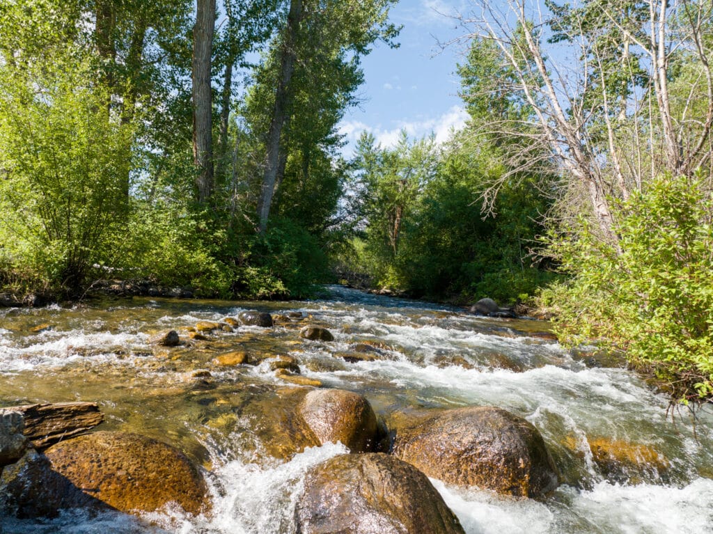 A clear, shallow stream flows over large rocks, surrounded by lush green trees and bushes under a bright blue sky—perfect scenery for recreational land or a hunting property. Sunlight filters through the foliage, creating dappled patterns on the water.