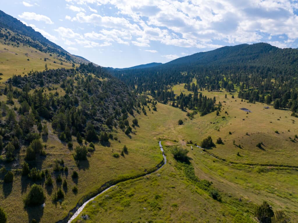 Aerial view of a green valley with a winding stream, scattered trees, and forested hills under a partly cloudy sky—ideal land for sale or as a peaceful hunting property.