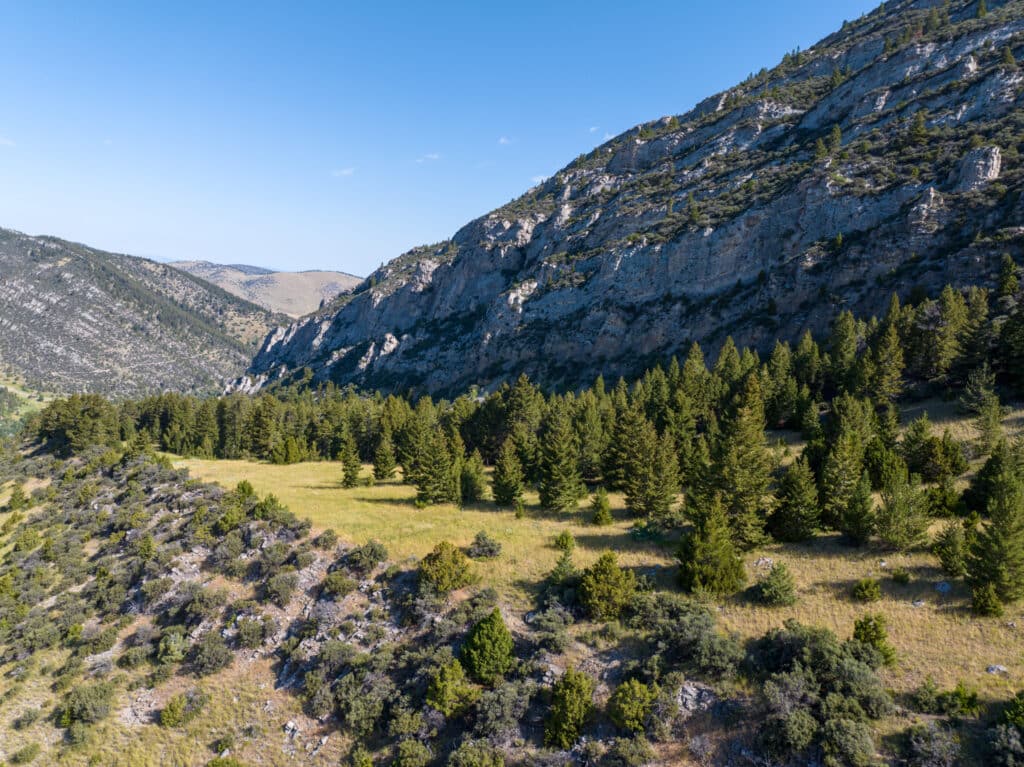 A scenic landscape featuring a rocky mountainside covered with pine trees under a clear blue sky. Ideal as recreational land, the grassy meadow with scattered shrubs stretches out at the base of the mountain.