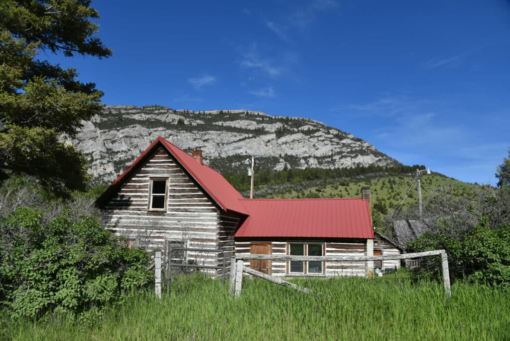 A rustic log cabin with a red metal roof sits amid tall green grass and shrubs, backed by a rugged, tree-lined mountain under a clear blue sky—perfect hunting property or ranch for sale.