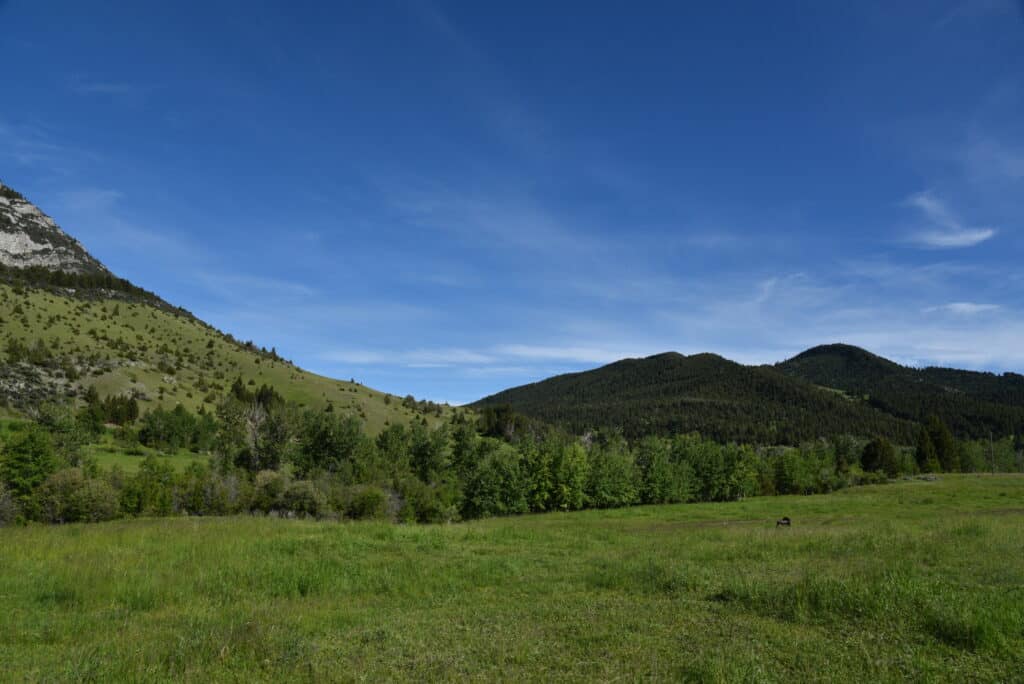 A wide grassy meadow with green trees, hills, and a mountain under a bright blue sky with wispy clouds—perfect land for sale or an ideal hunting property.