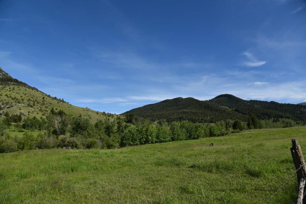 A wide grassy field with scattered trees stretches toward forested hills under a bright blue sky with wispy clouds—ideal recreational land. A wooden fence post stands on the right edge of this beautiful scene.