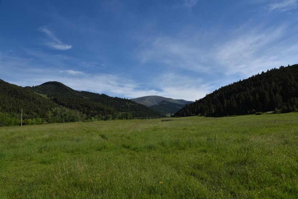 A wide green meadow with tall grass stretches toward forested hills and distant mountains under a blue sky with wispy clouds—ideal recreational land or a picturesque cattle ranch for sale.