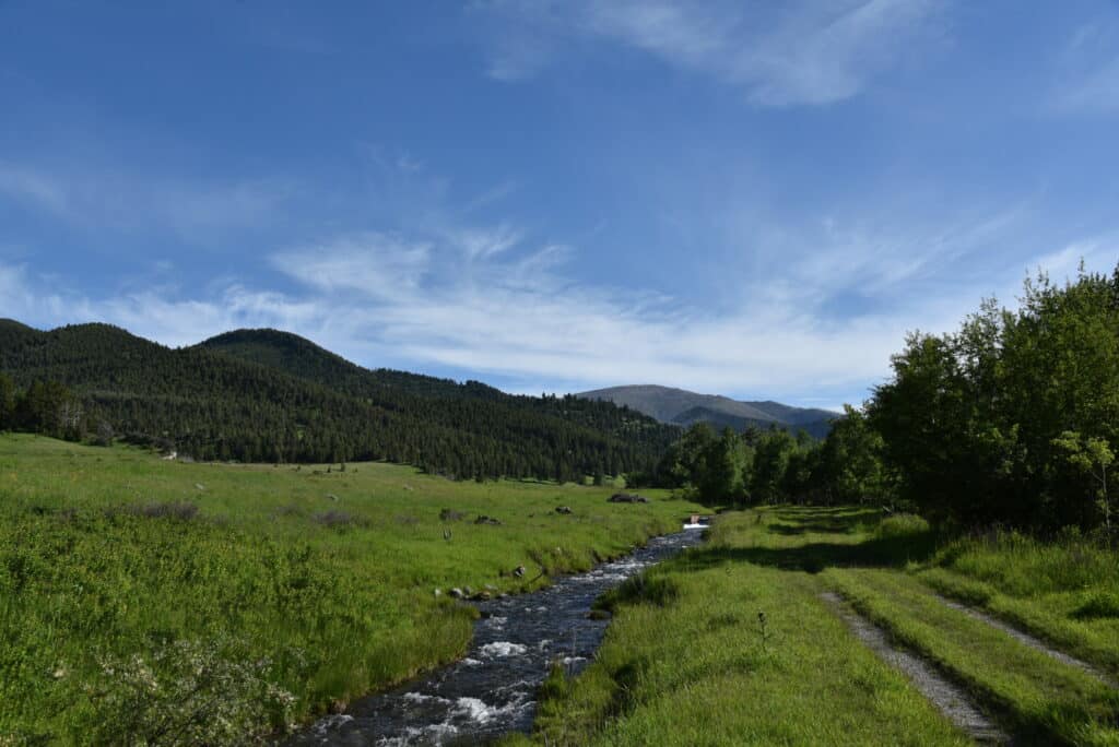 A small stream flows through a green grassy meadow bordered by trees, with rolling hills and mountains in the background under a blue sky. A dirt path runs alongside the stream—perfect for exploring this scenic cattle ranch.
