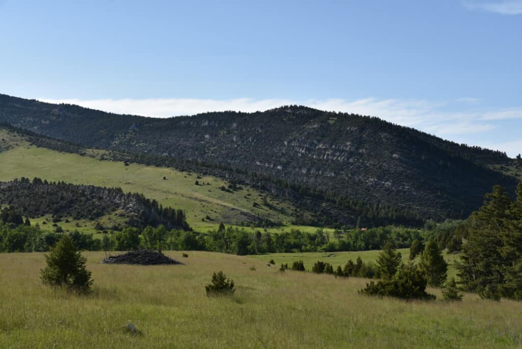 A grassy field with scattered shrubs and trees stretches toward a forested hillside under a clear blue sky, with mountains in the background—ideal recreational land or cattle ranch.