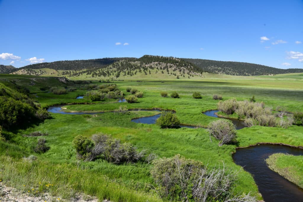 A winding river flows through lush green grasslands with scattered bushes, set against rolling hills and a clear blue sky—perfect recreational land or hunting property for nature enthusiasts.