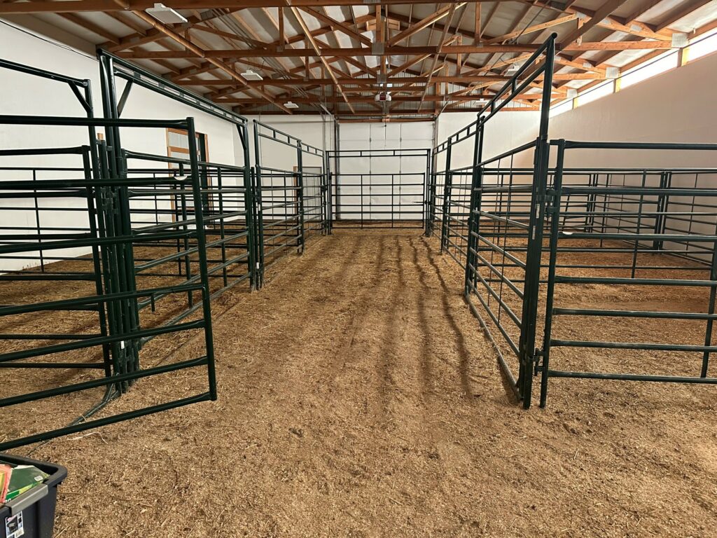 Spacious indoor livestock barn with several empty metal pens on a dirt floor, ideal for a ranch for sale. The barn has a high ceiling with exposed beams and natural light streaming through windows near the roof.