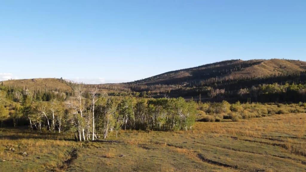 A scenic cattle ranch with rolling hills, patches of trees, and open grassy fields under a clear blue sky. Sunlight casts gentle shadows, highlighting the natural beauty and tranquility of this ideal hunting property.