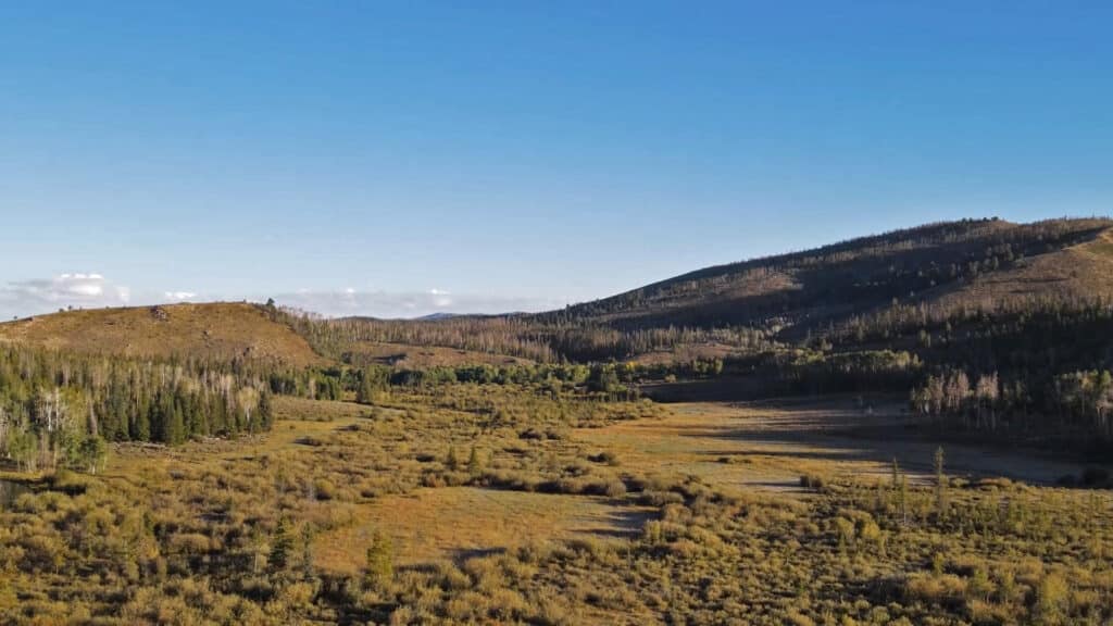 A wide valley with scattered shrubs and grasses, surrounded by forested hills under a clear blue sky, perfect recreational land with distant mountains visible on the horizon.