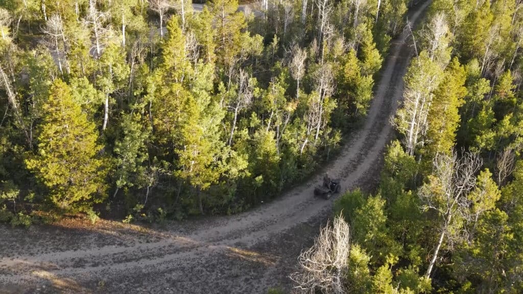 A winding dirt road curves through a dense forest with green and yellow trees. A small vehicle, possibly an ATV, travels along the road, perfect for exploring this recreational land nestled among the shaded foliage.