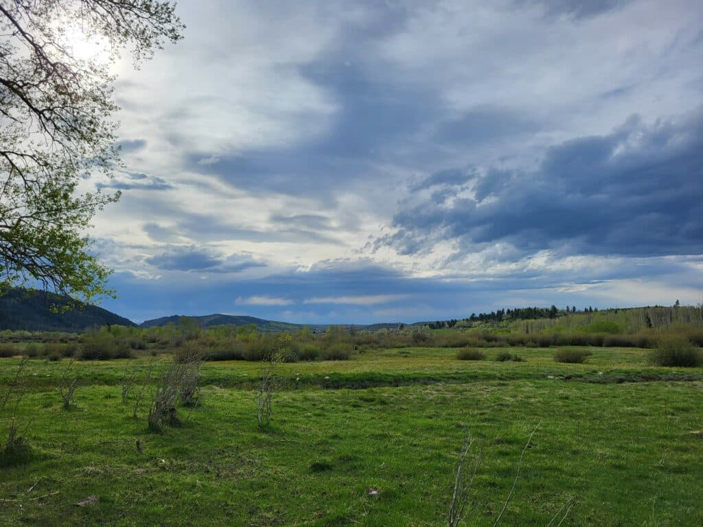 A wide green field with scattered bushes lies under a dramatic, cloud-filled sky. Trees line the horizon as sunlight filters through branches on the left. Rolling hills in the distance make this ideal land for sale or a potential cattle ranch.