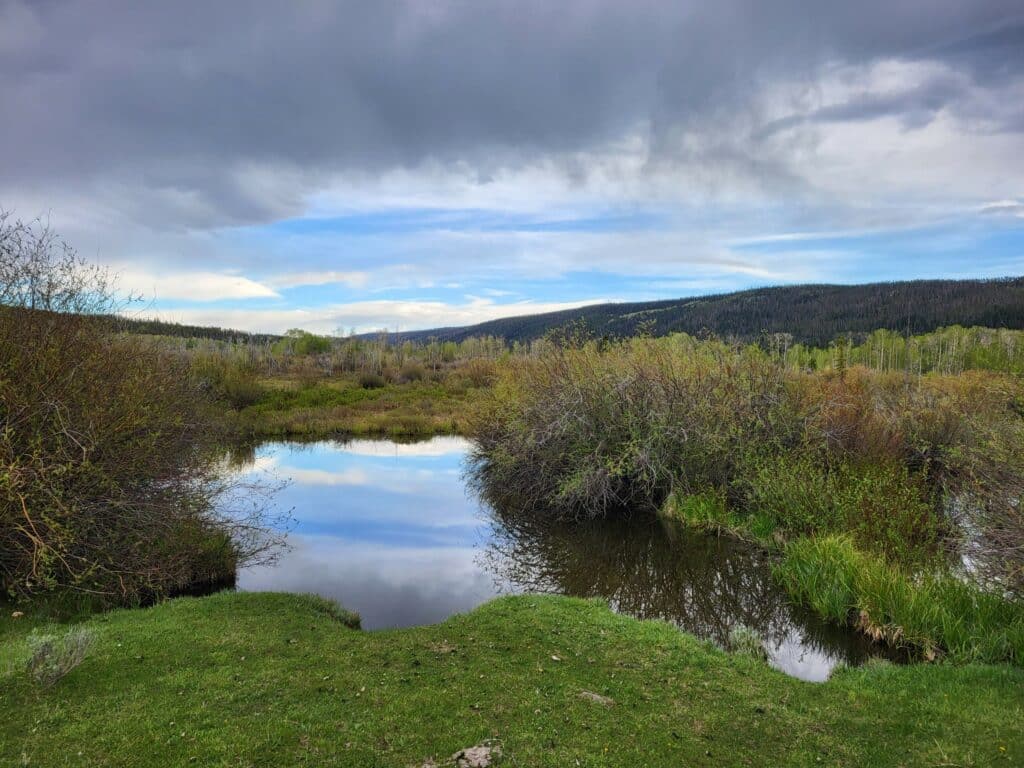 A calm pond surrounded by green grass and bushes, reflecting a cloudy sky with patches of blue. Forested hills rise in the background, making this recreational land ideal for a serene escape or a picturesque cattle ranch.