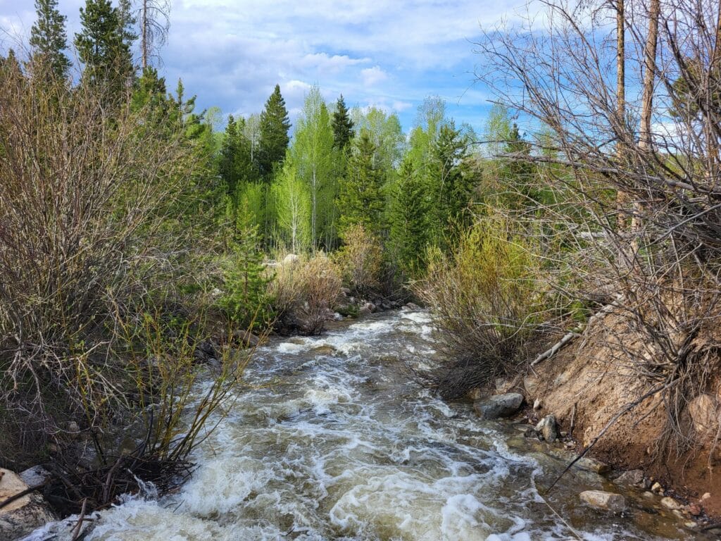 A fast-flowing creek runs through dense shrubs and trees with green foliage, under a partly cloudy sky in a forested area—ideal for recreational land or as a serene hunting property.
