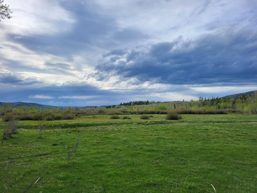 A wide, green meadow with scattered bushes under a dramatic, cloudy sky—ideal recreational land or potential cattle ranch. Trees and distant hills line the horizon, and the scene is bathed in soft, natural light.