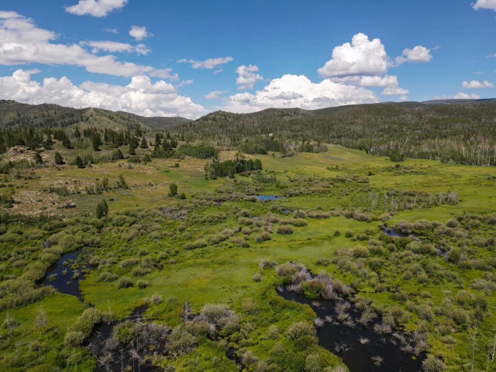A lush green meadow with small winding streams, low bushes, and trees stretches toward distant forested hills under a bright blue sky—perfect recreational land or potential cattle ranch land for sale.