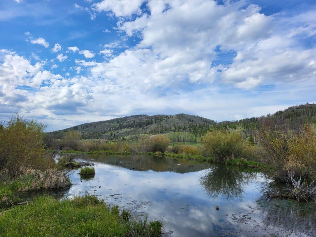 A serene landscape with a reflective pond surrounded by green grass and bushes, set against rolling hills and a partly cloudy blue sky—ideal recreational land, with trees and shrubs dotting the distant hills.