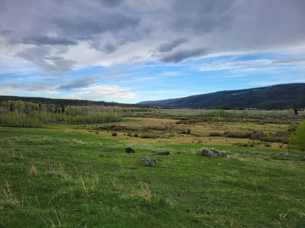 Wide landscape view of a grassy field with patches of shrubs and scattered rocks, perfect as recreational land or hunting property, framed by distant hills and forests under a partly cloudy, blue sky.