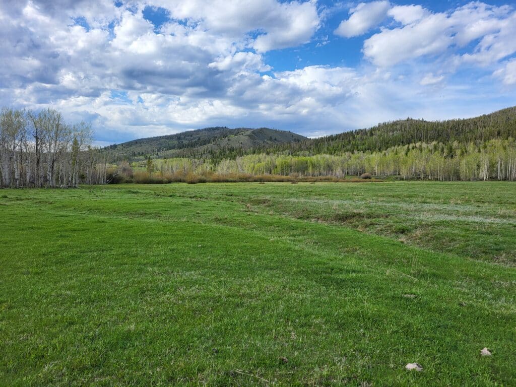 A lush green meadow stretches out beneath a partly cloudy sky, with a line of trees and rolling hills covered in greenery—perfect land for sale or those seeking hunting property.