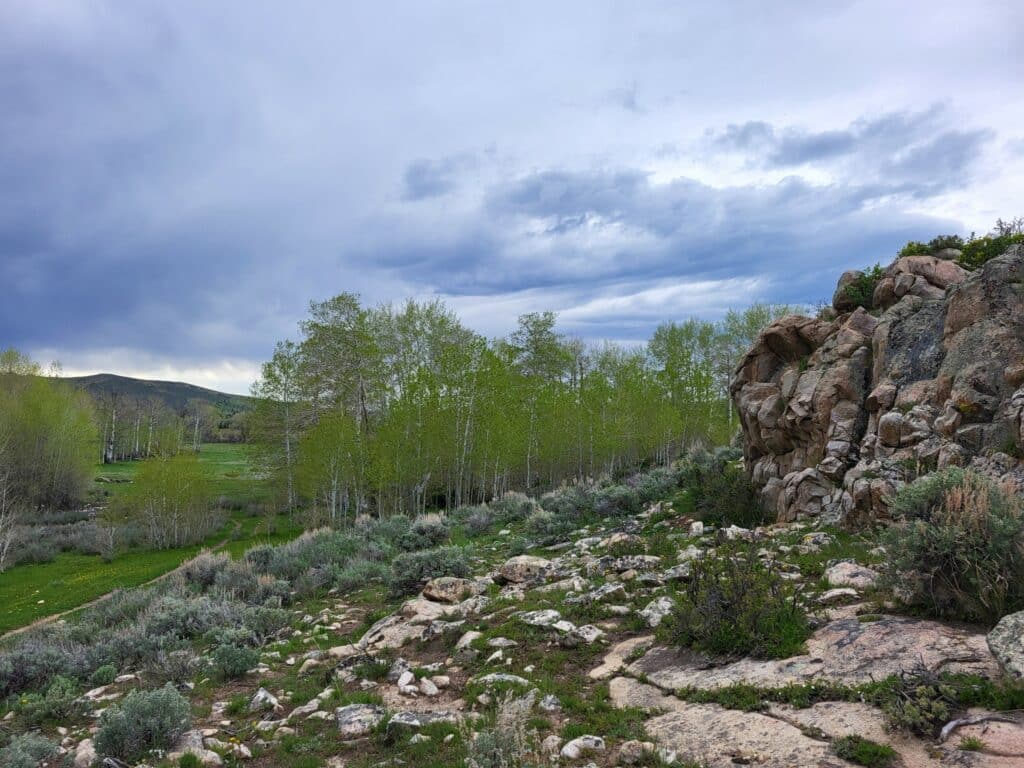 Rocky terrain with scattered shrubs in the foreground, green trees in the midground, and an overcast sky with dramatic clouds above a distant hillside—ideal recreational land or hunting property.