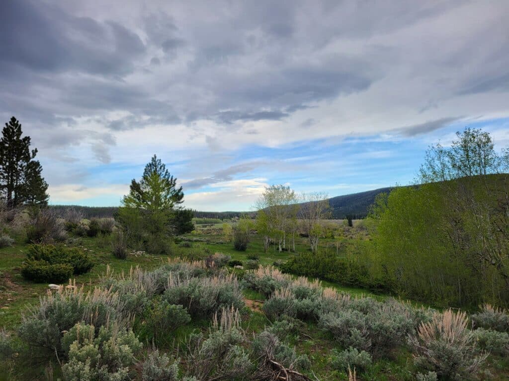 Wide landscape with shrubs, green trees, and rolling hills under a mostly cloudy sky with patches of blue. Ideal as a cattle ranch or hunting property, with distant mountains visible on the right side of the image.