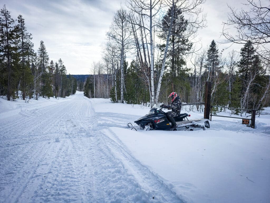 A person wearing a helmet rides a snowmobile through a snowy forest trail on land for sale, surrounded by tall trees and a thick blanket of snow under a cloudy sky.