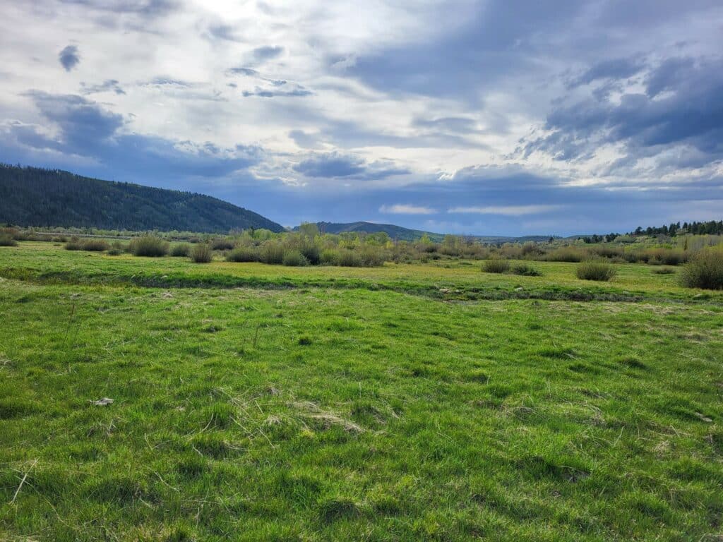 A wide green meadow with scattered bushes and low hills in the background under a partly cloudy sky, ideal as a cattle ranch or land for sale.