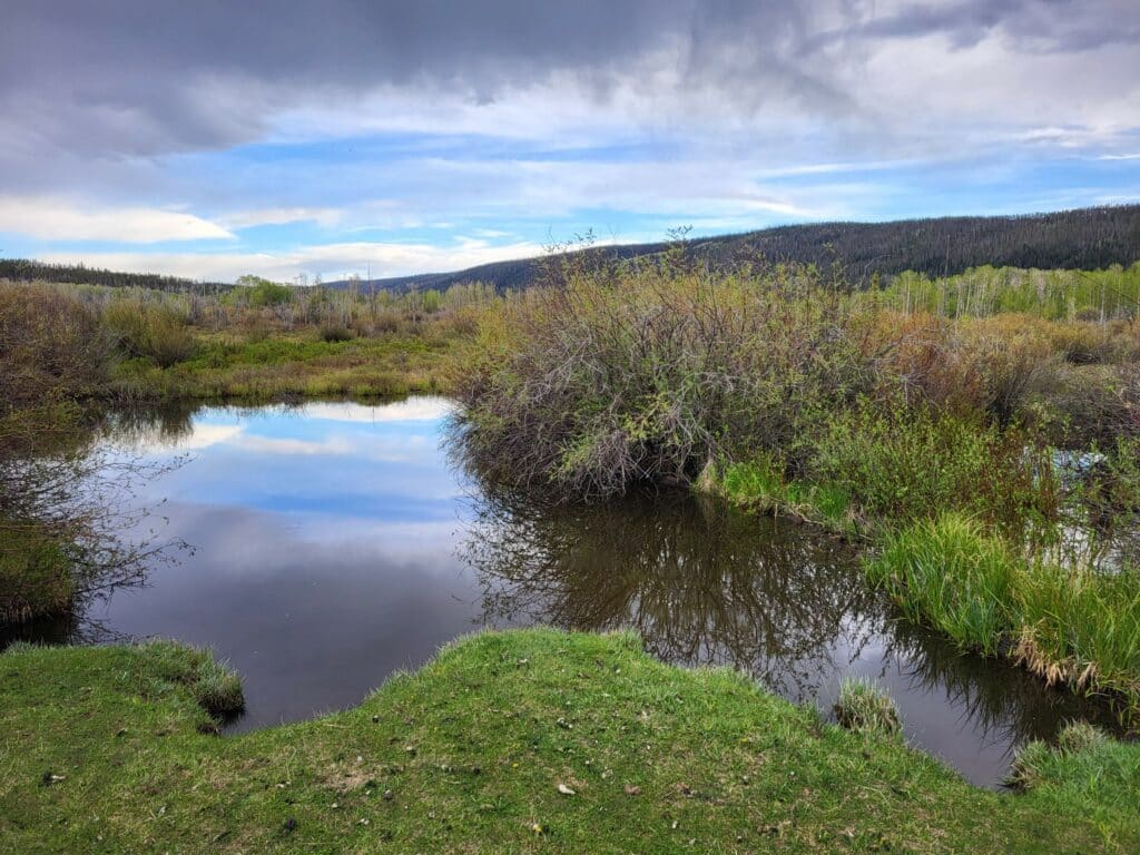 A tranquil pond reflects the cloudy sky and surrounding bushes, with grassy banks in the foreground and a forested hill in the background—an ideal piece of recreational land or potential land for sale.