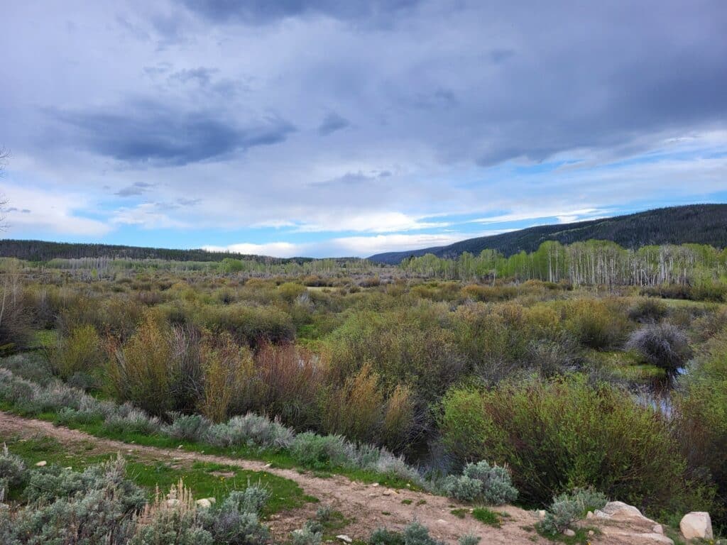A scenic landscape with green bushes, shrubs, and small trees under a cloudy blue sky, featuring distant forested hills and a dirt path—ideal recreational land or hunting property for those seeking land for sale.