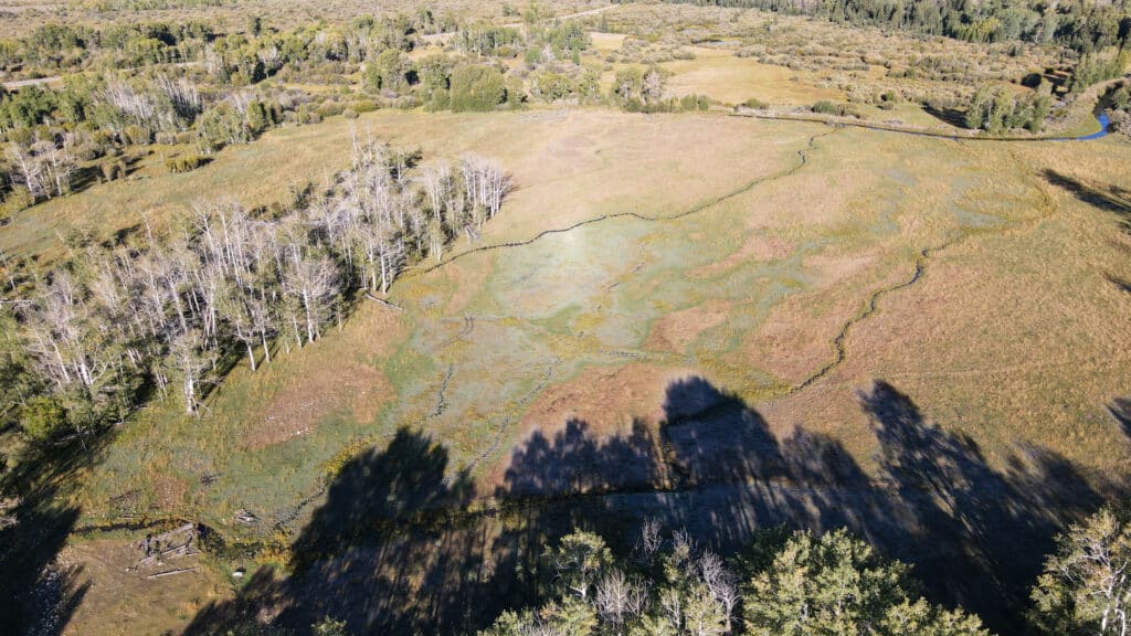 Aerial view of a grassy meadow bordered by clusters of trees, with long shadows cast across this ideal recreational land and a small stream visible at the upper right edge.