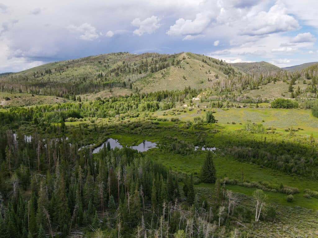 A lush green valley with small reflective ponds, surrounded by dense forest and rolling hills under a cloudy sky. Sunlight and shadows highlight the varied landscape—perfect recreational land or ranch for sale.