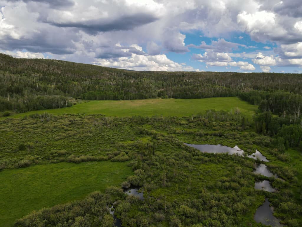Aerial view of lush green land for sale featuring grassy meadows, small ponds, and dense forest under a cloudy sky. Hills and scattered trees stretch into the distance, perfect for a cattle ranch.
