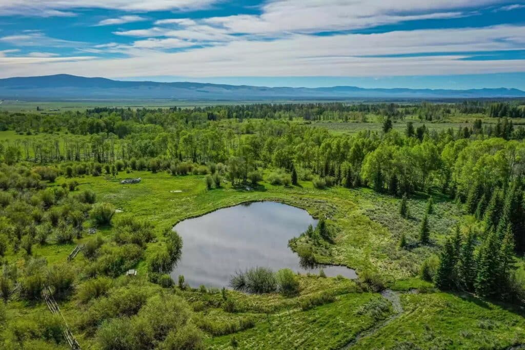 A small pond surrounded by lush green trees and grass, set on a beautiful hunting property with distant mountains under a blue sky with scattered clouds in the background.