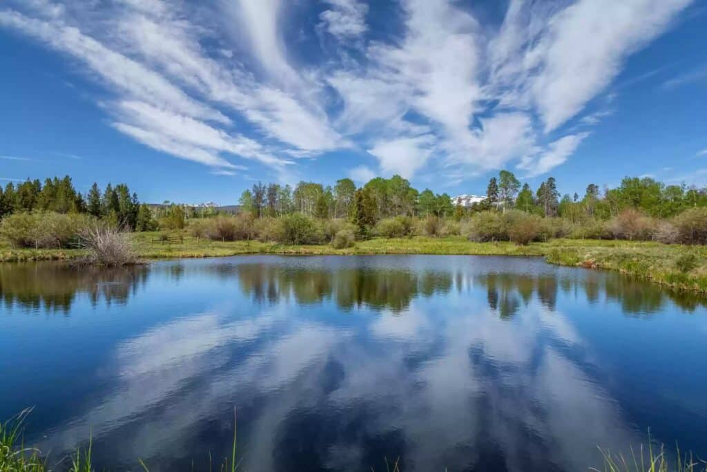 A calm pond reflects the blue sky and wispy clouds, surrounded by green trees and shrubs on a bright day—ideal recreational land for sale, perfect for outdoor activities or as a potential hunting property.