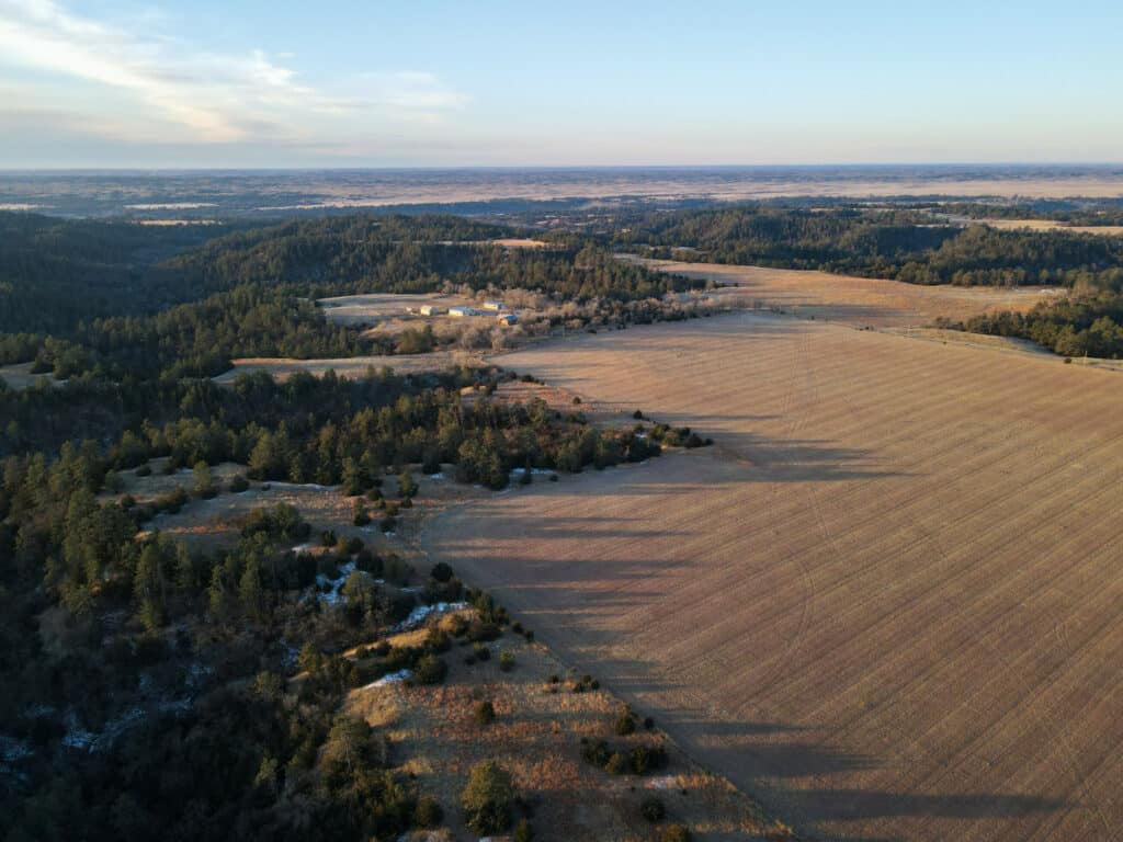 Aerial view of a vast rural landscape with fields, scattered trees, and distant farm buildings under a clear sky at sunset—ideal recreational land or potential cattle ranch, with tree shadows stretching across the farmland.