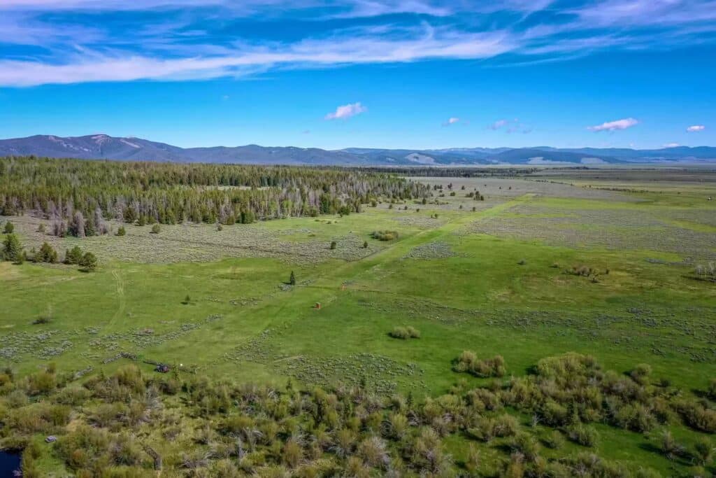 A wide, grassy meadow stretches into the distance, bordered by forested hills and mountains under a blue sky with wispy clouds—perfect recreational land for sale with sparse trees and shrubs dotting the green landscape.