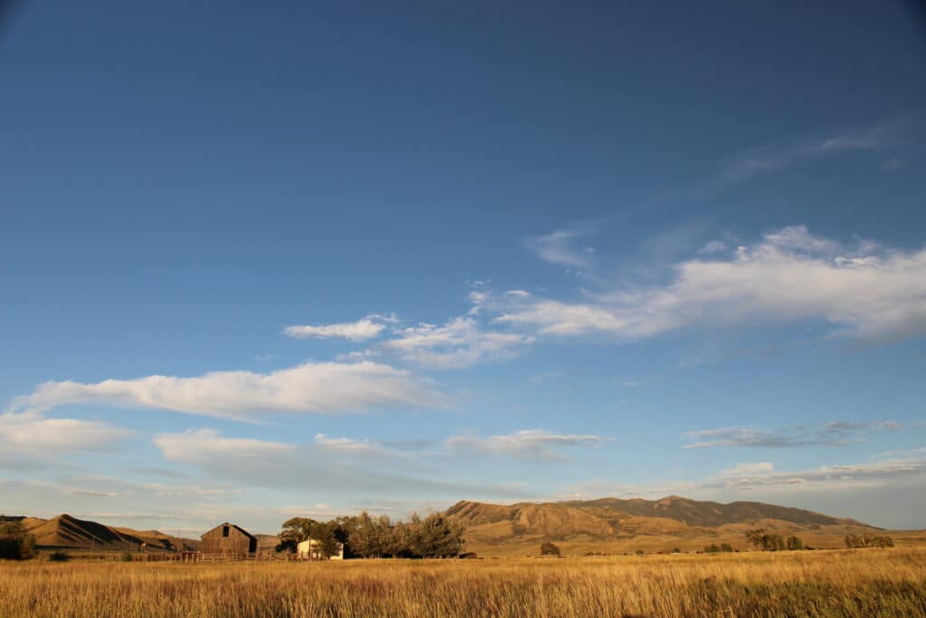 A wide, open field with tall grasses under a blue sky with scattered clouds—ideal land for sale. In the distance are a few small buildings and hills with golden-brown slopes, perfect for a cattle ranch or hunting property.